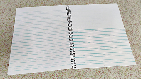 Manuscript storybook notebook displayed as opened on a table showing both sheet sides.